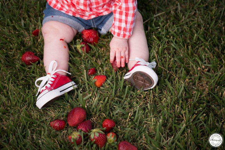 Childrens photographer Lyndsay Curtis photographs 6 month old Parker in studio and outdoor session| www.lyndsaycurtis.com