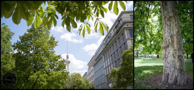Europe travel photographer Lyndsay Curtis spends a weekend exploring Berlin, Germany.