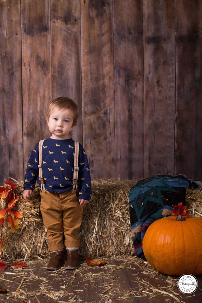 Child photographer Lyndsay Curtis photographs children during Fall themed mini-sessions in-studio | www.lyndsaycurtis.com