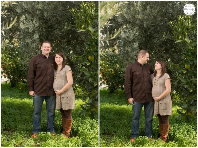 Maternity photographer Lyndsay Curtis photographs the Sikes family of USNH Sigonella in an orange grove. | www.lyndsaycurtis.com
