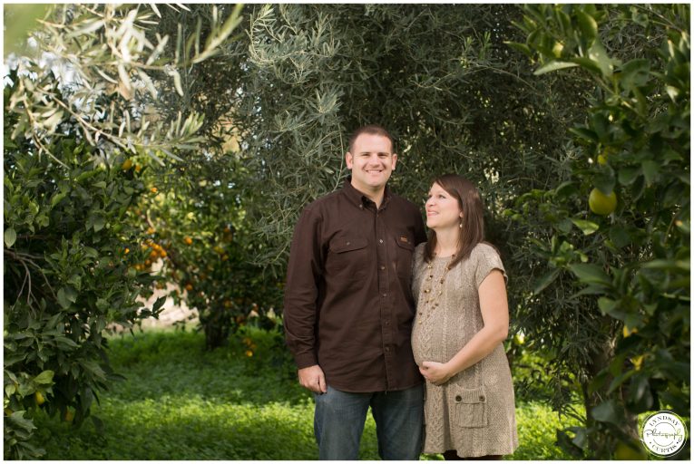 Maternity photographer Lyndsay Curtis photographs the Sikes family of USNH Sigonella in an orange grove. | www.lyndsaycurtis.com