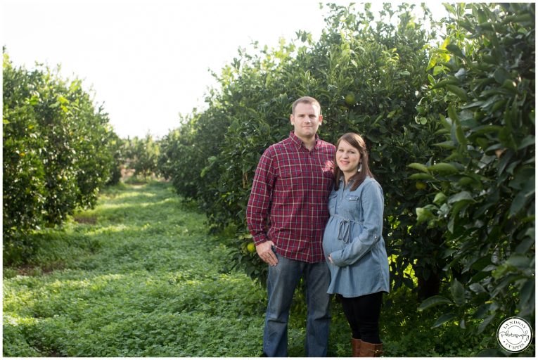 Maternity photographer Lyndsay Curtis photographs the Sikes family of USNH Sigonella in an orange grove. | www.lyndsaycurtis.com