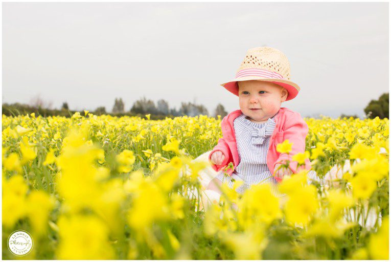 Portrait photographer Lyndsay Curtis photographs six month old Madi in a field of spring yellow flowers | www.lyndsaycurtis.com