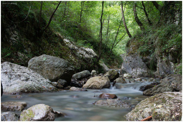 Travel photographer Lyndsay Curtis photographs a hike through Valle Delle Ferriere in the town of Amalfi on the coast of Southern Italy. | www.lyndsaycurtis.com
