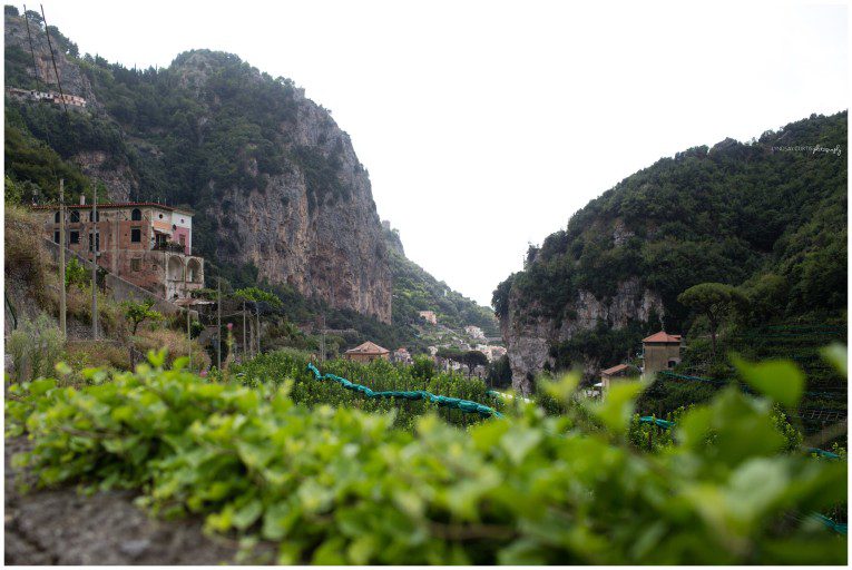 Travel photographer Lyndsay Curtis photographs a hike through Valle Delle Ferriere in the town of Amalfi on the coast of Southern Italy. | www.lyndsaycurtis.com