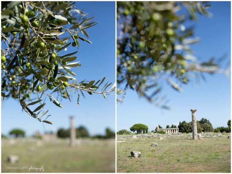 Travel photographer Lyndsay Curtis photographs the Greek Temples of Paestum, Italy. | www.lyndsaycurtis.com