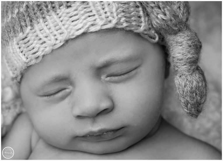 160126-Cebry-0121_WEB