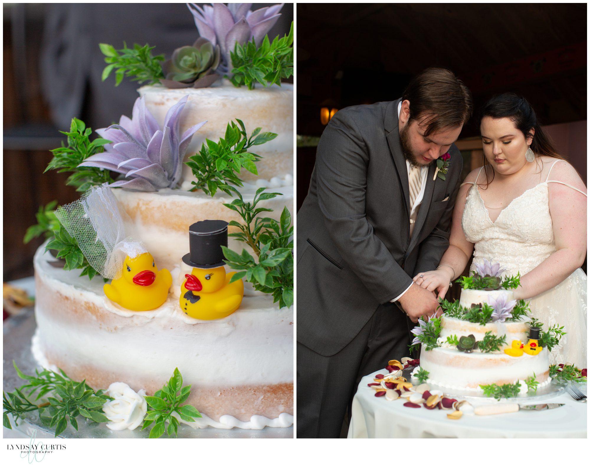 Virginia Beach wedding photographer Lyndsay Curtis Photography - Bride and Groom Cake cutting during wedding reception